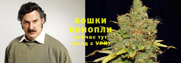 дурь Арсеньев