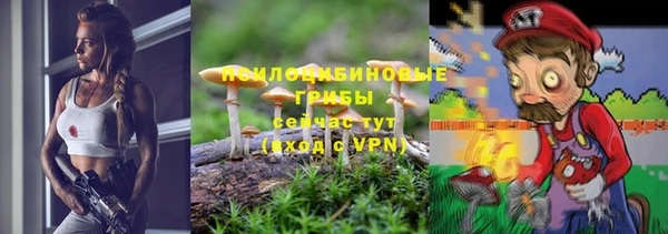 дурь Арсеньев