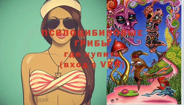 метадон Армянск