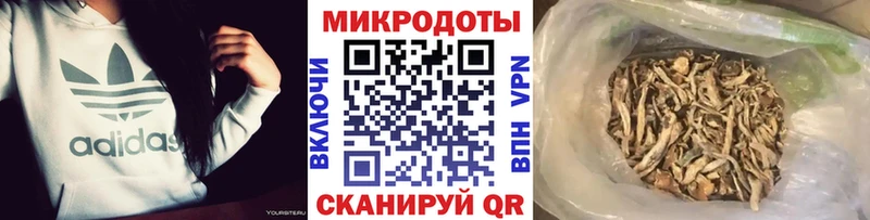 mega онион  Аткарск  Псилоцибиновые грибы мухоморы  где продают  